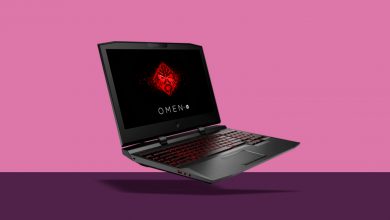 2018 0221 omen